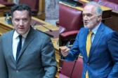«Προφανώς είστε τιμιότατος και το κάνετε για την ψυχή της μάνας σας» σφοδρή αντιπαράθεση Γεωργιάδη-Σιαλμά