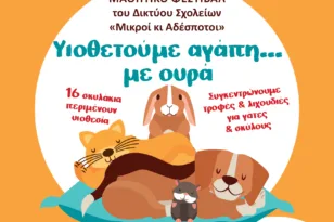 Πάτρα: Μαθητικό φεστιβάλ για τα αδέσποτα στην πλαζ – «Υιοθετούμε αγάπη… με ουρά»