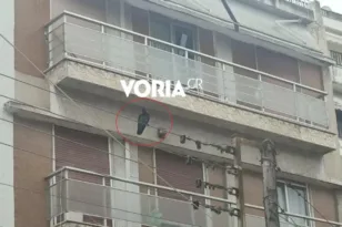 Τρεις ελαφρά τραυματίες από επίθεση κορακιού στο κέντρο της Θεσσαλονίκης ΒΙΝΤΕΟ