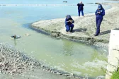 Πάτρα: Βλάβη στον Γλαύκο, λύματα στη θάλασσα, πολλά ερωτηματικά - Βανταράκης: «Δύσκολη» η κολύμβηση
