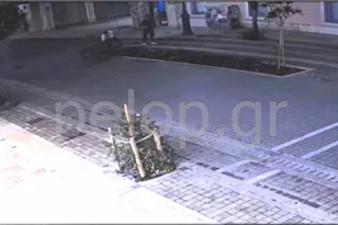 Πάτρα: Εσπασαν δέντρο στη Μαιζώνος και επέστρεψαν για σέλφι ΒΙΝΤΕΟ