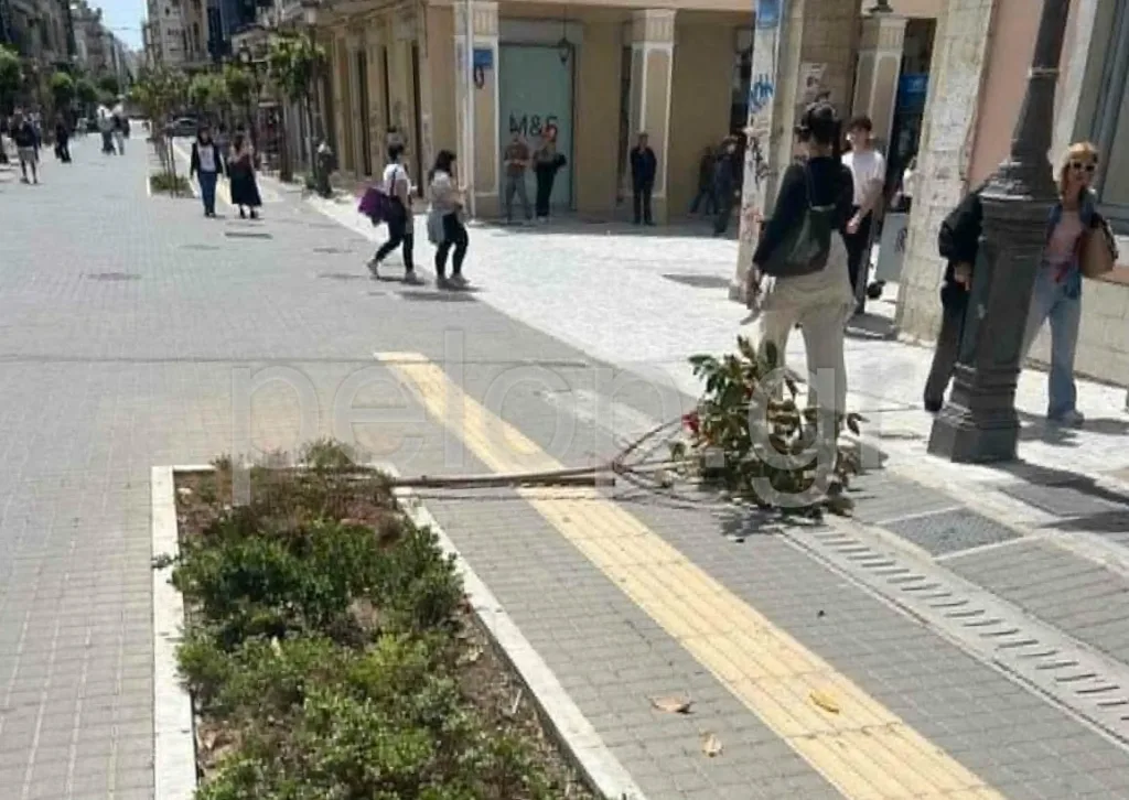 Πάτρα: Εσπασαν δέντρο στη Μαιζώνος και επέστρεψαν για σέλφι ΒΙΝΤΕΟ