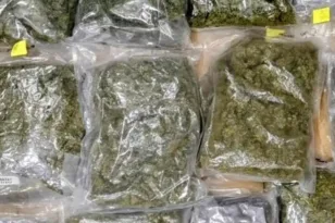 Πιάστηκε στη Σκιάθο με 13 κιλά ακατέργαστη κάνναβη αξίας 333.000 ευρώ