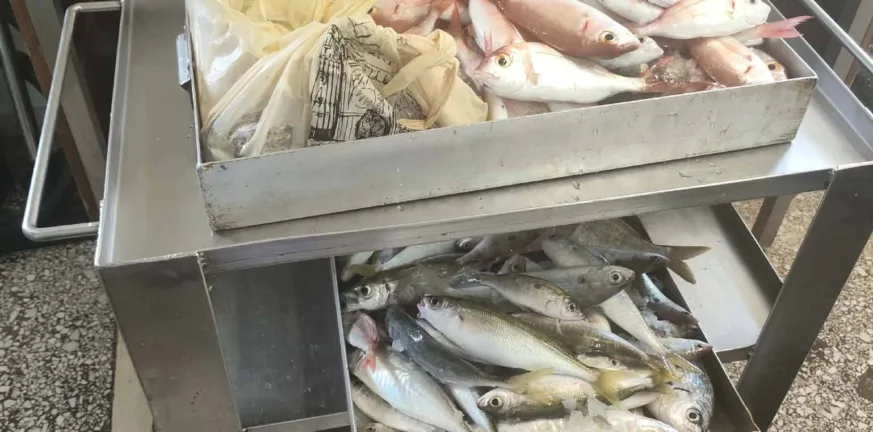 Όμορφη πρωτοβουλία από τον ΟΠΑΘΑ προσέφερε ψάρια στο «Κωνσταντοπούλειο»
