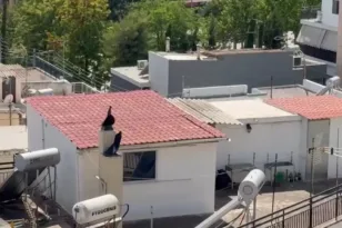 Περιστέρι: Στο «Παίδων» τα έξι παιδιά που βρέθηκαν σε δώμα – Τι λέει η γιαγιά τους