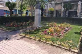 Πάτρα: Άνοιξη στις πλατείες Μαρκάτου και Πίνδου με νέες φυτεύσεις από τον Δήμο ΦΩΤΟ