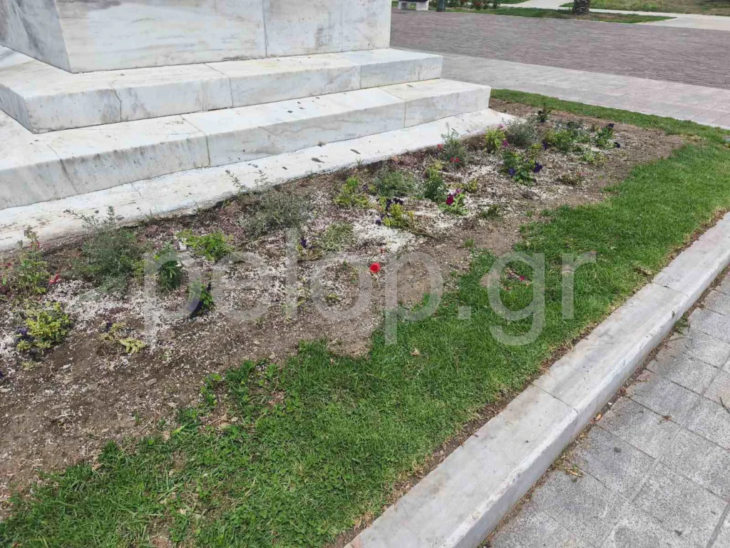 Πάτρα: Δεν μας αρέσει το ωραίο - Διέλυσαν τα λουλούδια στην πλατεία Υψηλών Αλωνίων ΦΩΤΟ