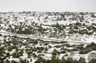Πρωτοχρονιάτικη Πρωτομαγιά στην Πάρνηθα