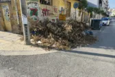 Πάτρα: Τα χορτάρια έκοψαν την ...πρόσβαση στους πεζούς