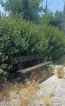 Πάτρα: Σκηνικό παραμέλησης στα Ταμπάχανα - Πλατείες στην εγκατάλειψη