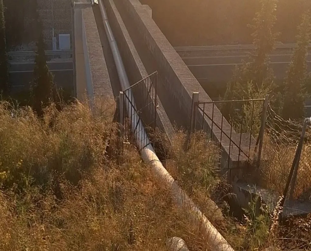 Πάτρα-Σούλι: Ξανά στον τόπο της ενέδρας η Ανδριάνα Φωτακοπούλου - Το συρματόπλεγμα έχει γίνει... σκάλα για τους παραβατικούς Πάτρα-Σούλι: Ξανά στον τόπο της ενέδρας η Ανδριάνα Φωτακοπούλου - Το συρματόπλεγμα έχει γίνει... σκάλα για τους παραβατικούς