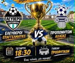 Ελεύθεροι Επαγγελματίες και Προπονητές στον τελικό