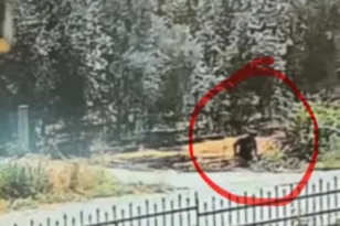 «Με εκνευρίζουν οι θάμνοι!»: Η απίστευτη δικαιολογία 50χρονου που έβαλε φωτιά στο Αγρίνιο