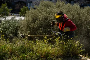 Ακαθάριστα οικόπεδα: Τα πρόστιμα που απειλούν όσους ξεχάσουν τη δήλωση έως 15 Ιουνίου