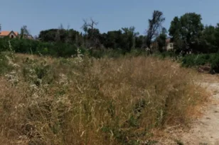 Ακαθάριστα οικόπεδα στην Πάτρα: Ώρα μηδέν για τους ιδιοκτήτες – «Καμπανάκι» από το Υπουργείο