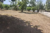 Αυτοψία της «Π» στο Αλσύλιο του Γηροκομείου: Καθαριότητα, αλλά και σημεία SOS ΦΩΤΟΓΡΑΦΙΕΣ