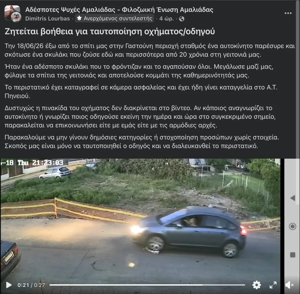 Φρίκη στη Γαστούνη: Σταμάτησε μπροστά στον σκύλο, πάτησε γκάζι και τον σκότωσε – Προσοχή σκληρές εικόνες ΒΙΝΤΕΟ Φρίκη στη Γαστούνη: Σταμάτησε μπροστά στον σκύλο, πάτησε γκάζι και τον σκότωσε – Προσοχή σκληρές εικόνες ΒΙΝΤΕΟ