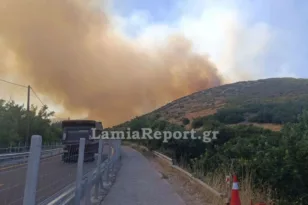 Φωτιά στο Ακραίφνιο: Πού έχει διακοπεί η κυκλοφορία στην ΠΑΘΕ