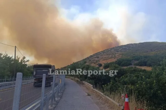 Φωτιά στο Ακραίφνιο: Πού έχει διακοπεί η κυκλοφορία στην ΠΑΘΕ