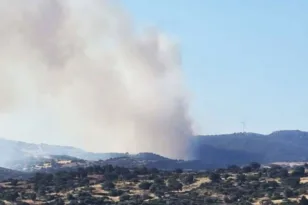 Φωτιά στην Κάρυστο: Νέα αναζωπύρωση και έρευνα για πιθανό εμπρησμό
