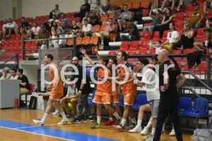 Η ΑΕ Ροϊτίκων πολύ κοντά στην ιστορική άνοδο στη National League 1, ΦΩΤΟ