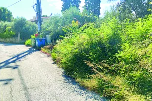 Πάτρα: Η οδός Αρέθα εκπέμπει sos, πεζοδρόμια και κοινόχρηστοι χώροι έχουν εξαφανιστεί από τα αγριόχορτα