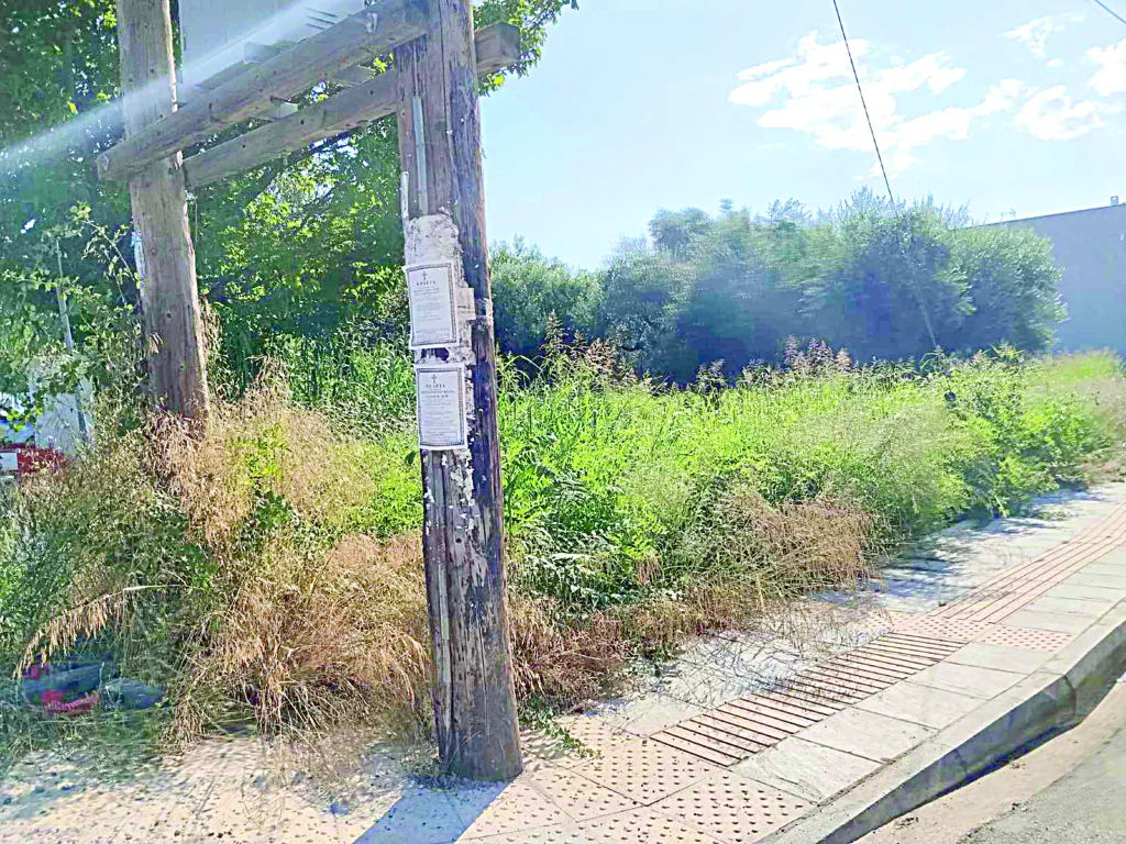 Πάτρα: Η οδός Αρέθα εκπέμπει sos, πεζοδρόμια και κοινόχρηστοι χώροι έχουν εξαφανιστεί από τα αγριόχορτα ΦΩΤΟ Πάτρα: Η οδός Αρέθα εκπέμπει sos, πεζοδρόμια και κοινόχρηστοι χώροι έχουν εξαφανιστεί από τα αγριόχορτα ΦΩΤΟ