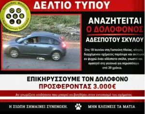 Γαστούνη: Επικηρύχτηκε από φιλοζωική οργάνωση ο οδηγός που σκότωσε αδέσποτο σκύλο Γαστούνη: Επικηρύχτηκε από φιλοζωική οργάνωση ο οδηγός που σκότωσε αδέσποτο σκύλο