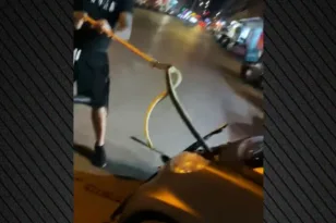 Θεσσαλονίκη: Άνοιξε το καπό του αυτοκινήτου και βρήκε μέσα φίδι ΒΙΝΤΕΟ