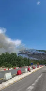Πεύκα Θεσσαλονίκης: Οριοθετήθηκε η φωτιά, το 112 καλούσε τους κατοίκους να είναι σε ετοιμότητα, ΦΩΤΟ, ΒΙΝΤΕΟ