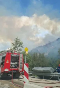 Πεύκα Θεσσαλονίκης: Οριοθετήθηκε η φωτιά, το 112 καλούσε τους κατοίκους να είναι σε ετοιμότητα, ΦΩΤΟ, ΒΙΝΤΕΟ Πεύκα Θεσσαλονίκης: Οριοθετήθηκε η φωτιά, το 112 καλούσε τους κατοίκους να είναι σε ετοιμότητα, ΦΩΤΟ, ΒΙΝΤΕΟ