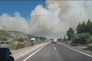 Συναγερμός στην Πυροσβεστική: Ανεξέλεγκτη φωτιά στη Βοιωτία, που έχει κλείσει η Αθηνών-Λαμίας - Μπαράζ πυρκαγιών και συλλήψεις σε όλη τη χώρα ΣΥΝΕΧΗΣ ΕΝΗΜΕΡΩΣΗ
