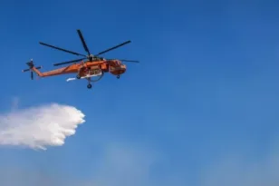 Οριοθετημένη η φωτιά στον Ελεώνα Θήβας – Δεν απείλησε κατοικίες