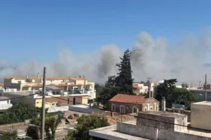 Φωτιά στο Ακραίφνιο Βοιωτίας: Επιχειρούν αεροσκάφη και ελικόπτερο
