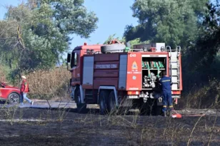 Φωτιά στον Ελεώνα Θηβών: Οι δυνάμεις που επιχειρούν στο σημείο