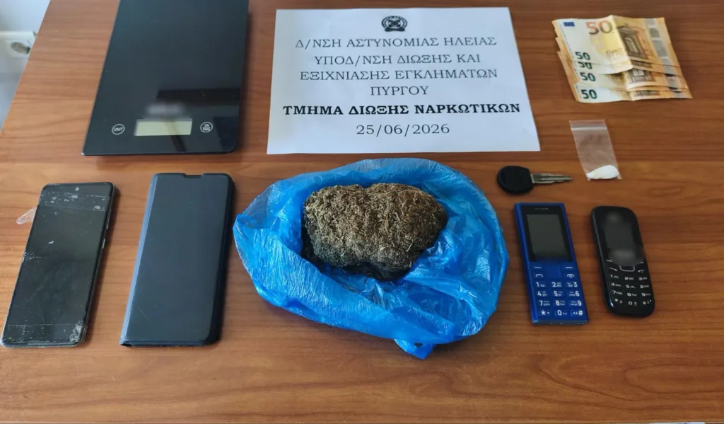 Ηλεία: Φυτεία κάνναβης με 78 δενδρύλλια, «καβάτζες» και προσδοκώμενο κέρδος 275.000 ευρώ ΦΩΤΟ