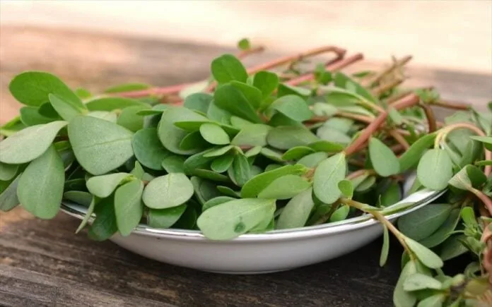 Καλοκαίρι στο πιάτο: 5 ελληνικά superfoods που θα σε απογειώσουν τώρα!