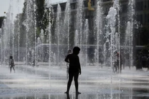 Γαλλία: Ο καύσωνας σκότωσε εκατοντάδες χιλιάδες πουλερικά