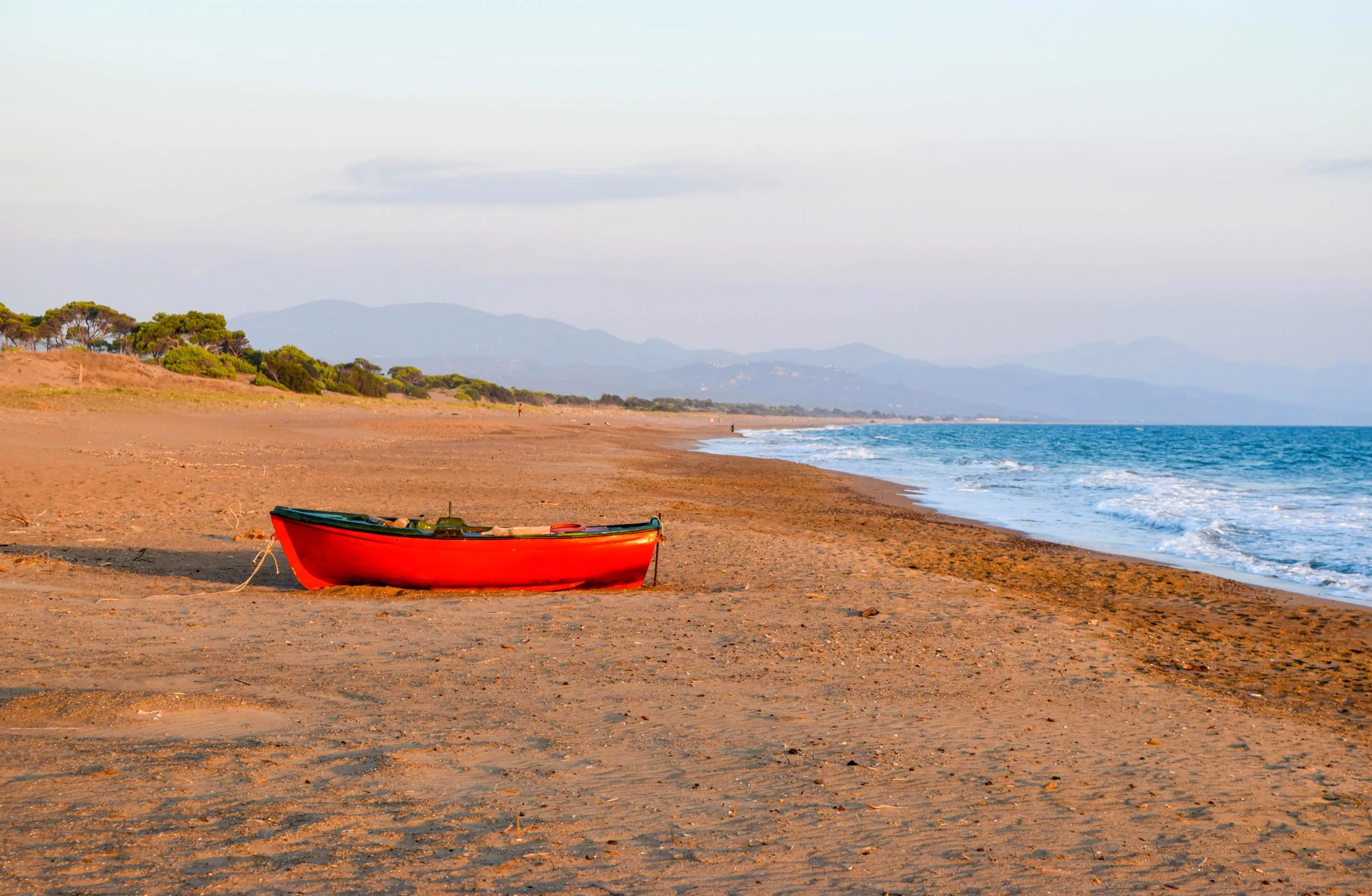 Η παραλία Καλογριά στην Αχαΐα με μεγάλη αμμουδιά, ρηχά νερά και το δάσος της Στροφυλιάς