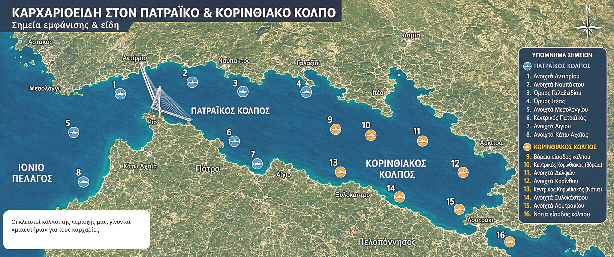 Μύθοι και αλήθειες για τους καρχαρίες σε Πατραϊκό-Κορινθιακό: Δεν κινδυνεύουμε, δεν τους πειράζουμε Μύθοι και αλήθειες για τους καρχαρίες σε Πατραϊκό-Κορινθιακό: Δεν κινδυνεύουμε, δεν τους πειράζουμε