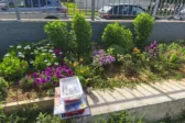 Εκλεψε τις εντυπώσεις ο κήπος στο 12ο Δημοτικό Σχολείο