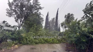 Καιρός: Κεραυνική δραστηριότητα με βροχές, καταιγίδες και χαλαζοπτώσεις να εκδηλώνονται σε αρκετές περιοχές, ΒΙΝΤΕΟ Καιρός: Κεραυνική δραστηριότητα με βροχές, καταιγίδες και χαλαζοπτώσεις να εκδηλώνονται σε αρκετές περιοχές, ΒΙΝΤΕΟ