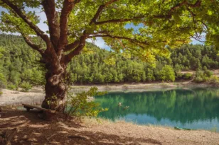 Η Αχαΐα και η ορεινή Πελοπόννησος φορά τα φθινοπωρινά της-Εφτά προτάσεις για ορεινή απόδραση