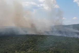 Η φωτιά που ξέσπασε στη Βόρεια Μακεδονία πέρασε στην Ελλάδα, ΒΙΝΤΕΟ