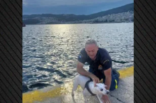 Καβάλα: Πυροσβέστης έσωσε σκύλο που πάλευε εξαντλημένος στη θάλασσα