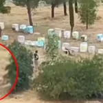 Φωτιά στο Άλσος Βεΐκου: Ταυτοποιήθηκε μελισσοκόμος – Έρευνα για τα αίτια της πυρκαγιάς
