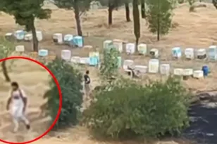 Φωτιά στο Άλσος Βεΐκου: Ταυτοποιήθηκε μελισσοκόμος – Έρευνα για τα αίτια της πυρκαγιάς
