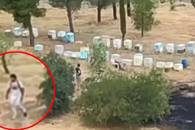 Φωτιά στο Άλσος Βεΐκου: Ταυτοποιήθηκε μελισσοκόμος – Έρευνα για τα αίτια της πυρκαγιάς