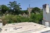 Πάτρα: Εξι ημέρες προθεσμία για καθαρισμούς οικοπέδων και τάφων – Τα πρόστιμα για τους ιδιοκτήτες
