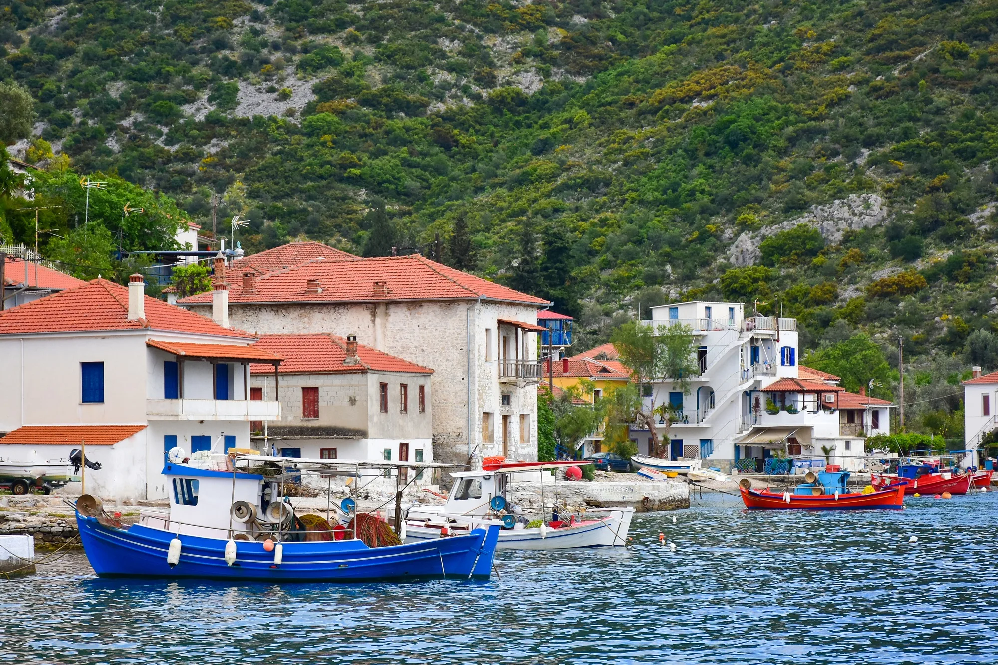 Μια διαδρομή στο πιο θαλασσινό άκρο του Πηλίου: Τρίκερι, Αγία Κυριακή και Κόττες Μια διαδρομή στο πιο θαλασσινό άκρο του Πηλίου: Τρίκερι, Αγία Κυριακή και Κόττες